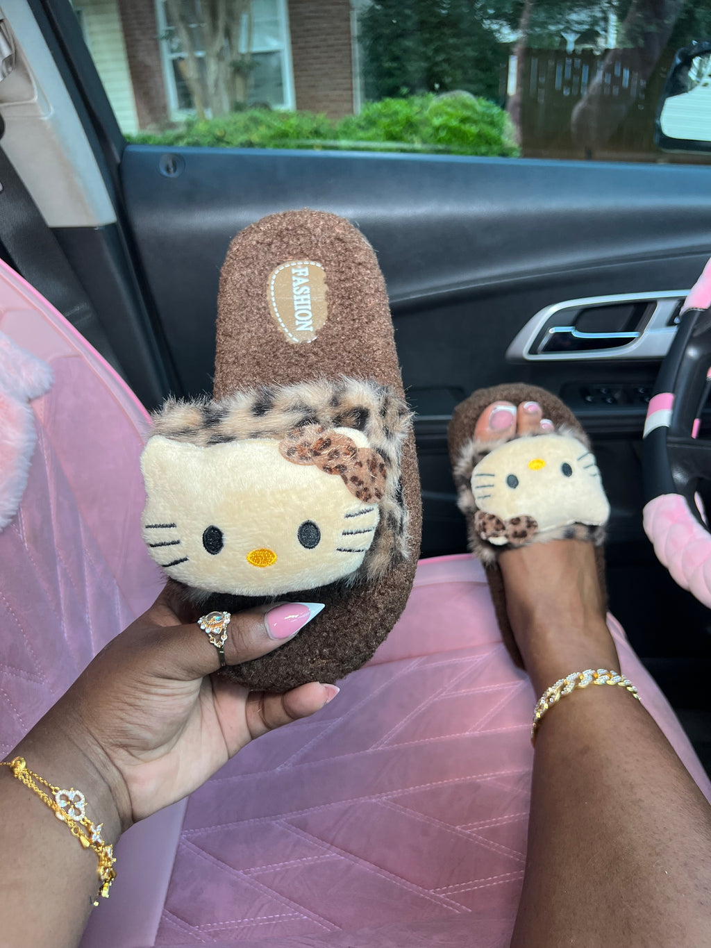 Brown Cat Slides