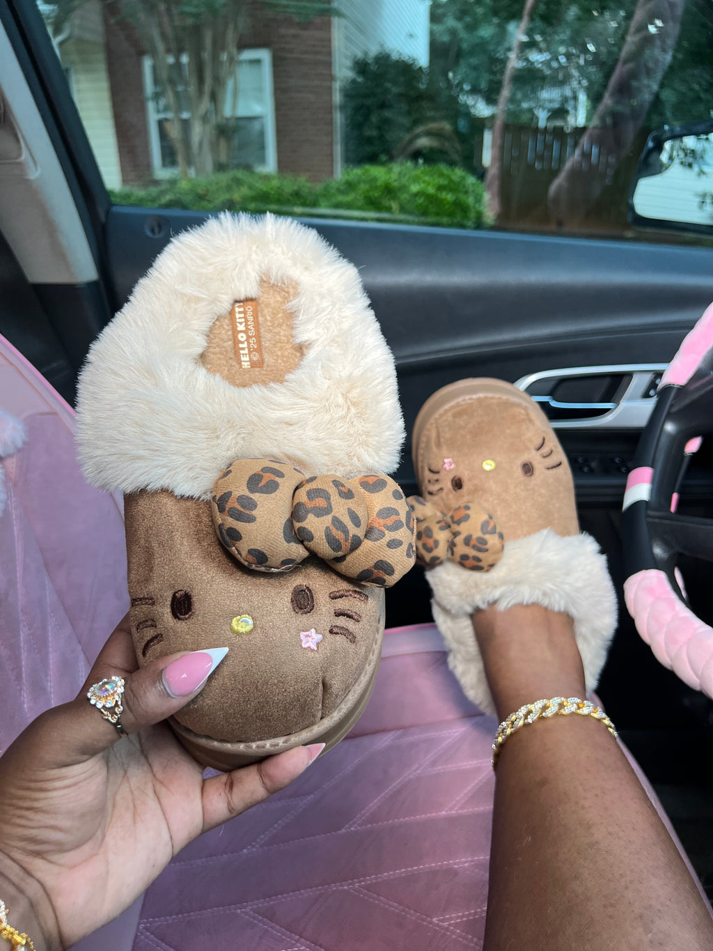 Cozy Cat Clogs