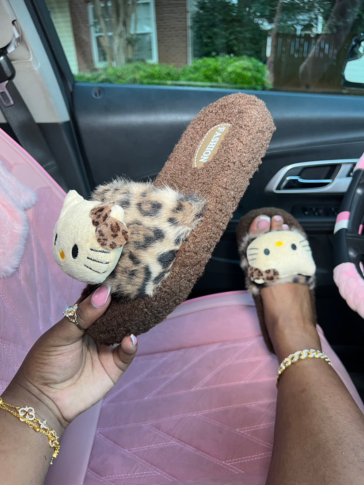 Brown Cat Slides