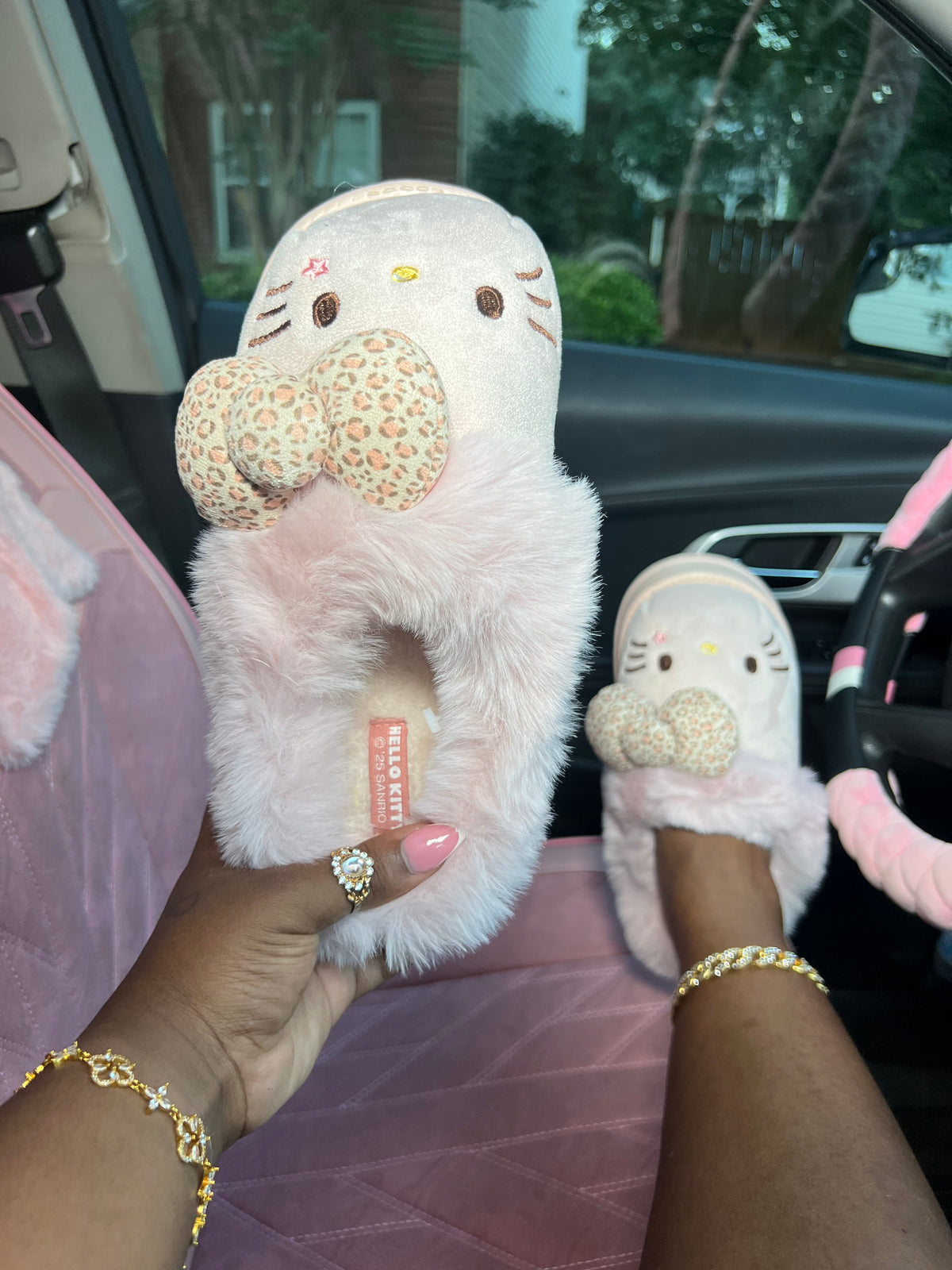 Cozy Cat Clogs