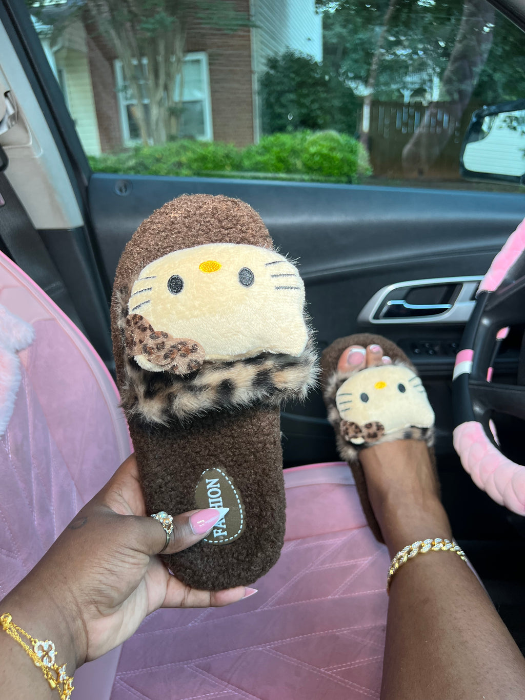 Brown Cat Slides