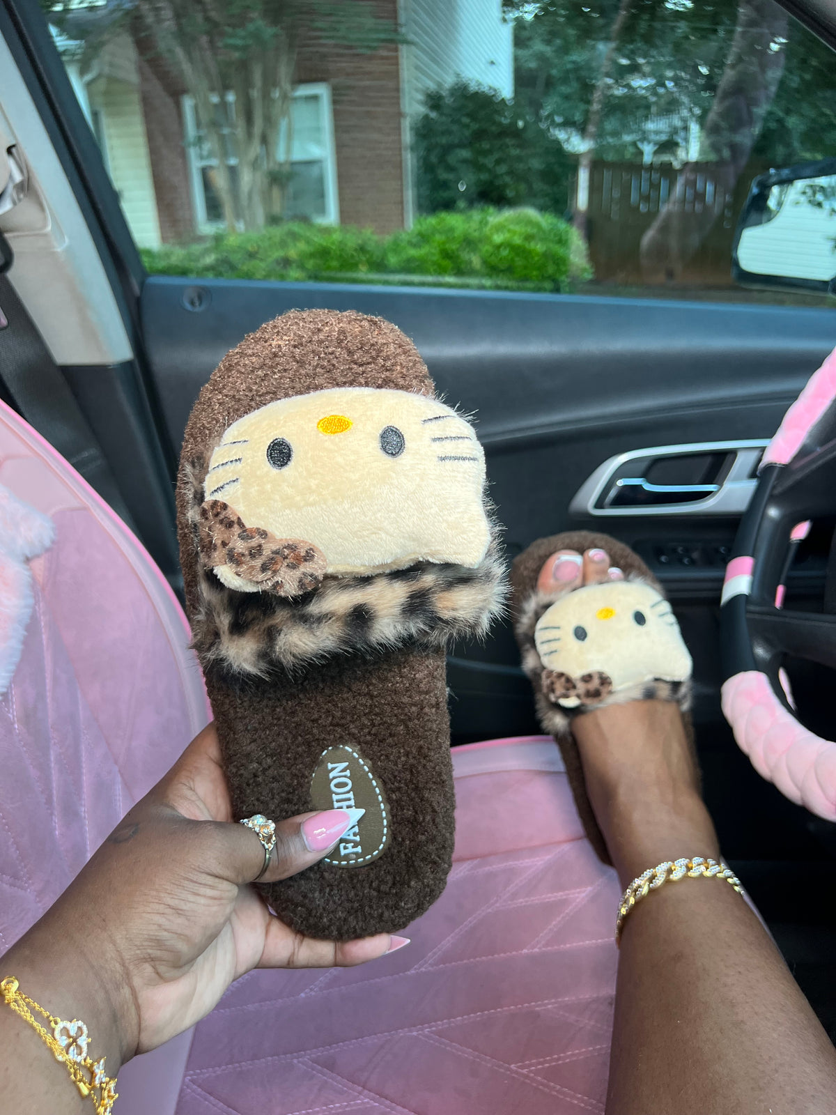 Brown Cat Slides