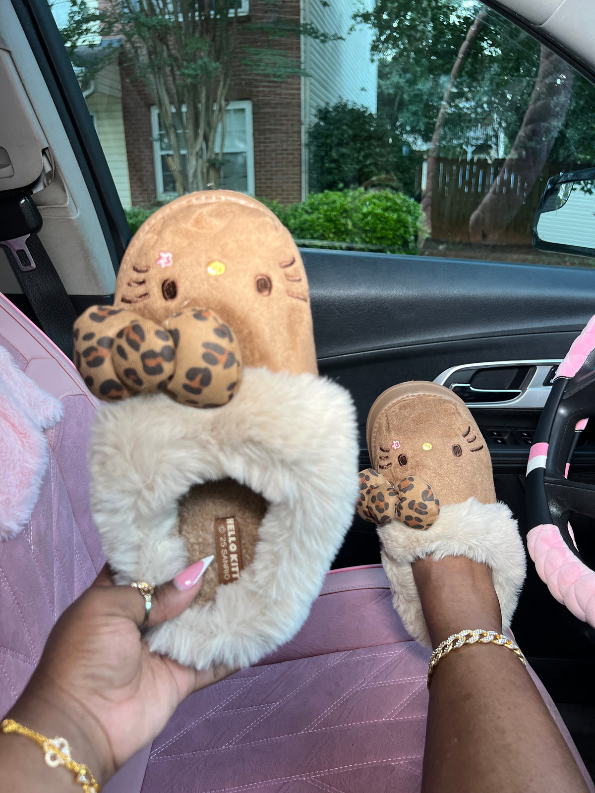 Cozy Cat Clogs