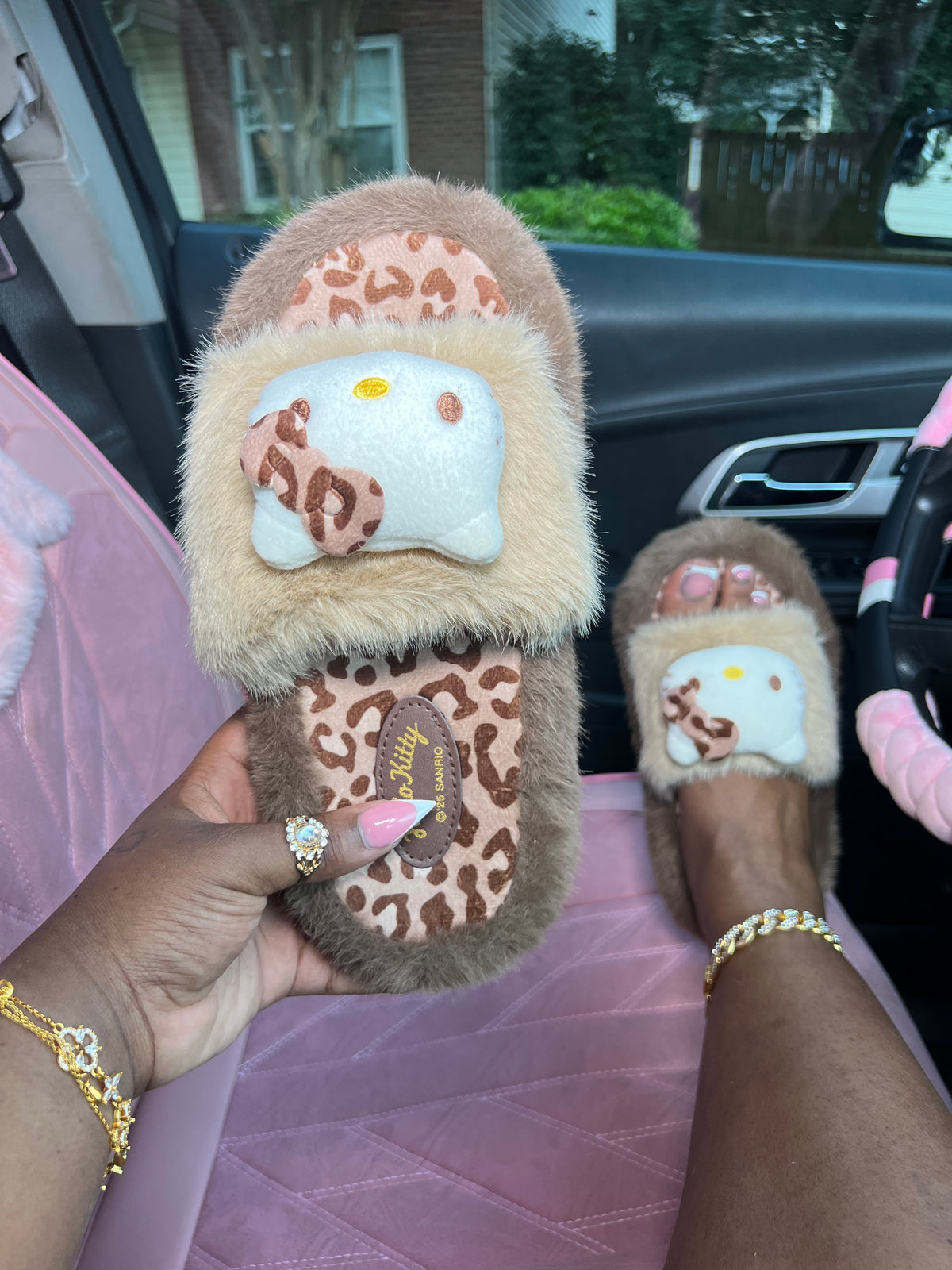 Leopard Cat Slides