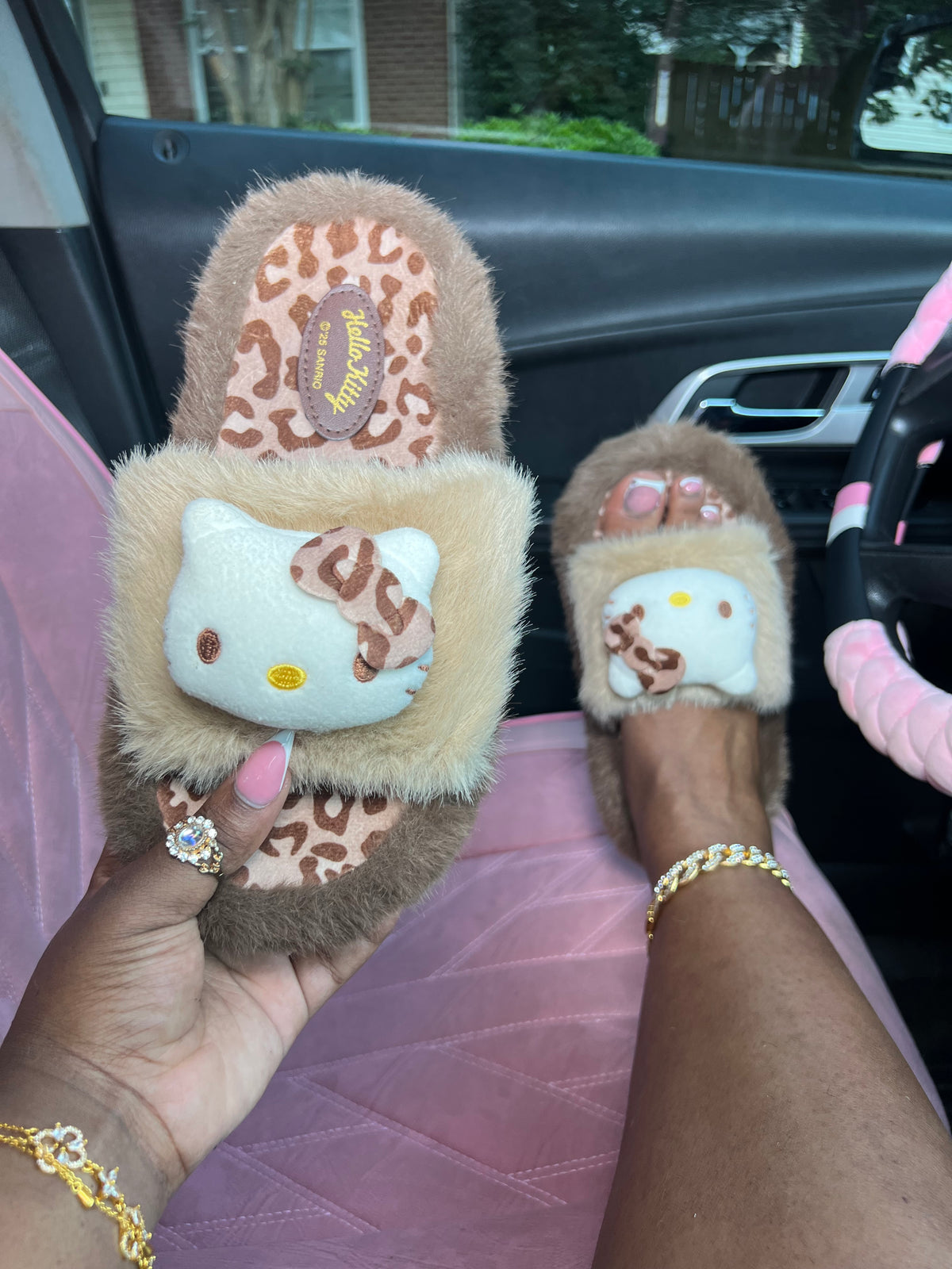Leopard Cat Slides