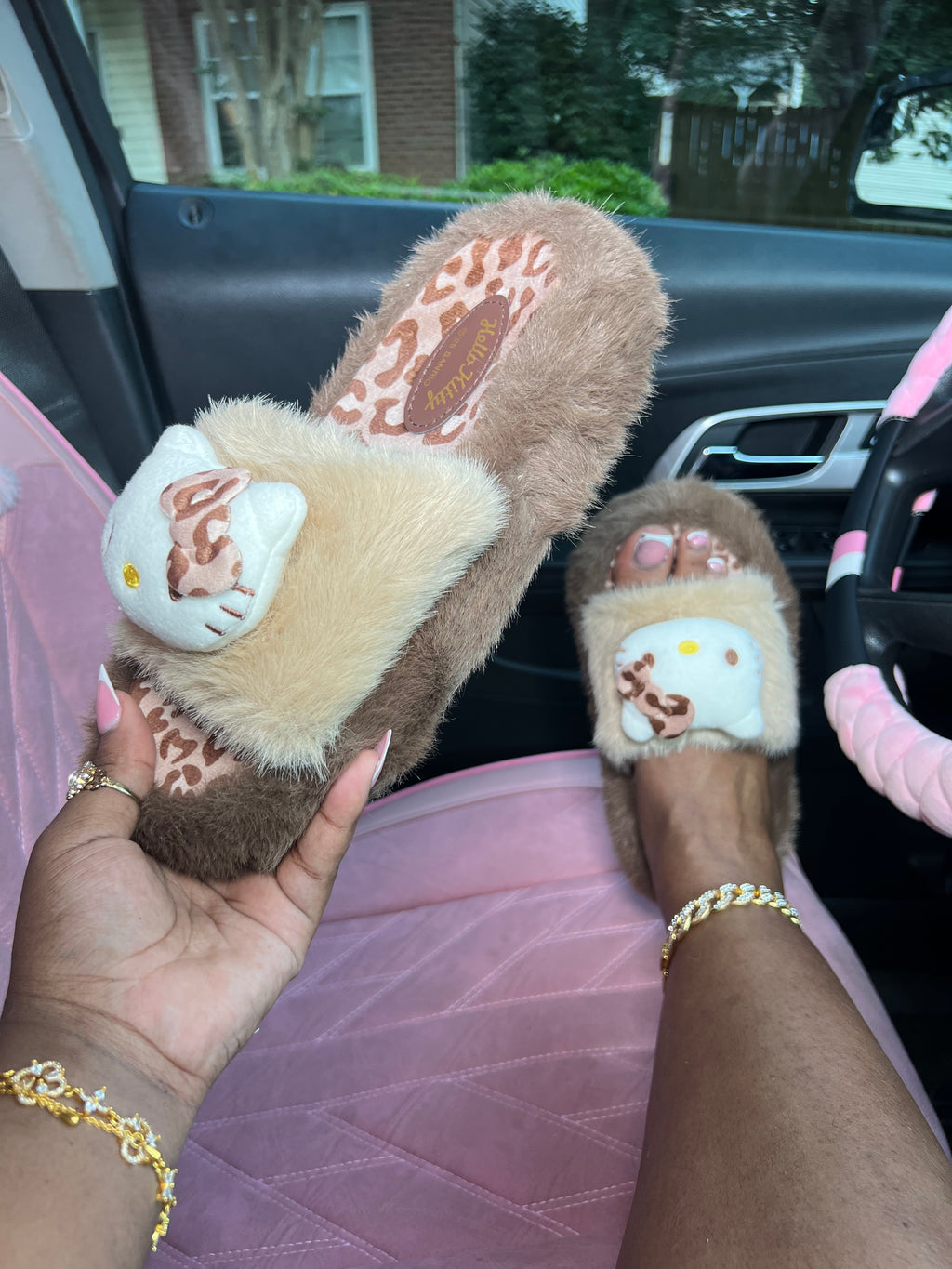 Leopard Cat Slides